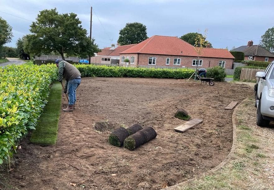 Garden before fencing and landscaping improvements