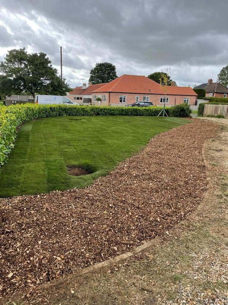 Freshly laid natural turf in a newly landscaped garden